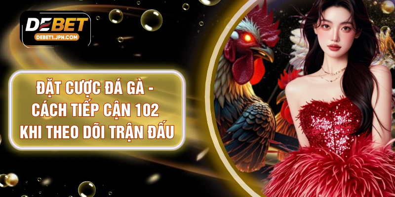 Đặt Cược Đá Gà - Cách Tiếp Cận 102 Khi Theo Dõi Trận Đấu