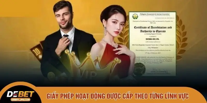 Giấy phép hoạt động được cấp theo từng lĩnh vực