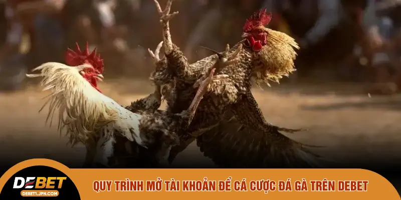 Quy trình mở tài khoản để cá cược đá gà trên DEBET