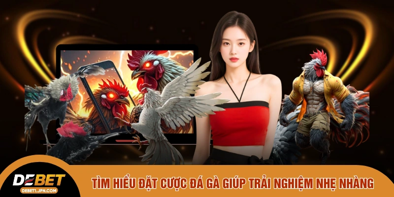 Tìm hiểu đặt cược đá gà giúp trải nghiệm nhẹ nhàng