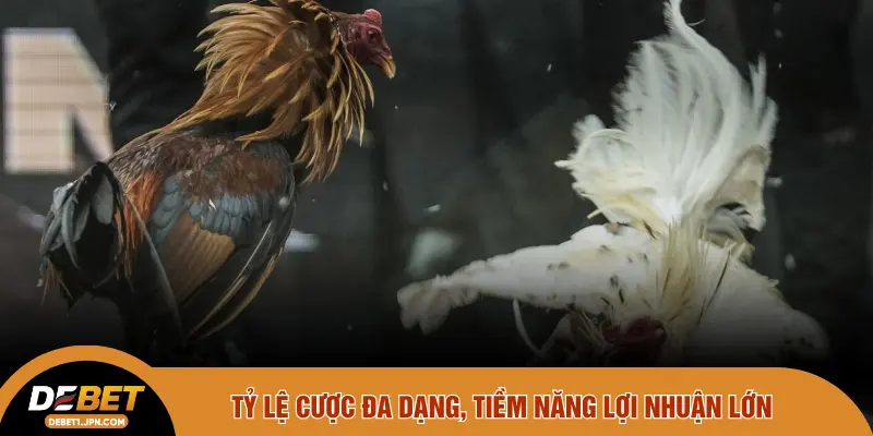 Tỷ lệ cược đa dạng, tiềm năng lợi nhuận lớn